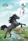 风之子 封面