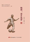 梅州：球乡筑梦 封面