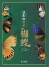 滇东南常见蝴蝶 封面