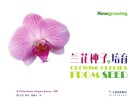 兰花种子的培育 封面