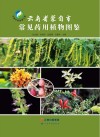云南省蒙自市常见药用植物图鉴 封面
