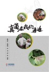 真菌在我们身边 封面
