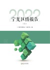 宁夏区情报告 2022 上 封面