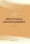 湖南文化产业新业态的成长机制与培育路径研究 封面