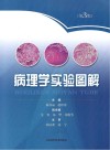 病理学实验图解  第3版 封面