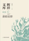 辉祥文库 1 散文卷:游踪拾影 封面