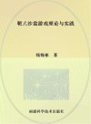 靶式沙盘游戏理论与实践 封面