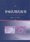 非哺乳期乳腺炎 封面