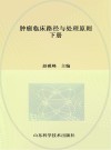 肿瘤临床路径与处理原则 下 封面