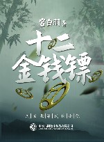 十二金钱镖 封面