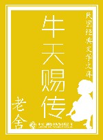 牛天赐传 封面