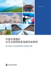 中国中部地区公共文化特色化发展实证研究  基于国家公共文化服务体系示范区城市实践 封面