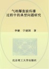 气相爆轰波传播过程中的典型问题研究 封面