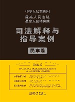 最高人民法院最高人民检察院司法解释与指导案例  民事卷  第5版 封面