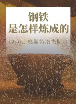 钢铁是怎样炼成的 封面
