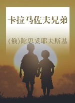 卡拉马佐夫兄弟  上下 封面