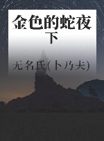 金色的蛇夜  下 封面