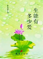 一生能有多少爱 封面