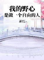 我的野心，是做一个自由的人 封面