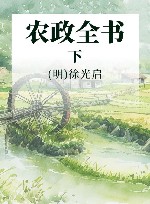 农政全书  下 封面