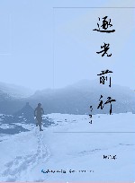 逐光前行  评论卷 封面