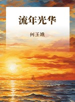 流年光华 封面