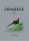江西庐山常见鸟类 第2卷 封面