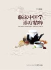 临床中医学诊疗精粹 封面
