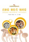 真姬菇 姬松茸 杨树菇 封面