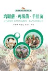 鸡腿蘑·鸡(土从)菌·羊肚菌 封面