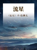 流星 恰佩克哲理小说三部曲 封面
