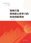 湖南打造具有核心竞争力的科技创新高地 封面