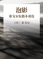 泡影 泰戈尔短篇小说选 封面