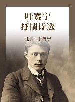 经典译文  叶赛宁抒情诗选 封面