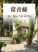 常青藤