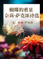 蝴蝶的重量  奈莉·萨克斯诗选 封面