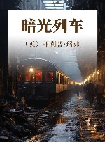 暗光列车 封面