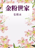金粉世家 封面