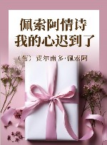 佩索阿情诗  我的心迟到了 封面