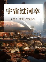 宇宙过河卒 封面