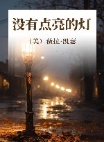 没有点亮的灯 封面