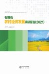 石嘴山农村经济发展调研报告  2021 封面