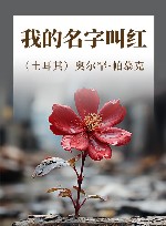 我的名字叫红 封面