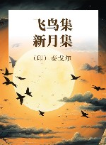 飞鸟集  新月集 封面