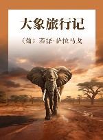 大象旅行记 封面