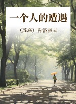 二战记忆  一个人的遭遇 封面