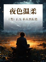 夜色温柔 封面