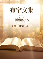 布宁文集  2  中短篇小说 封面