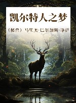 凯尔特人之梦 封面