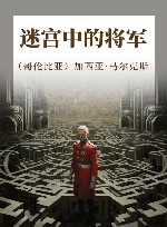 迷宫中的将军 封面